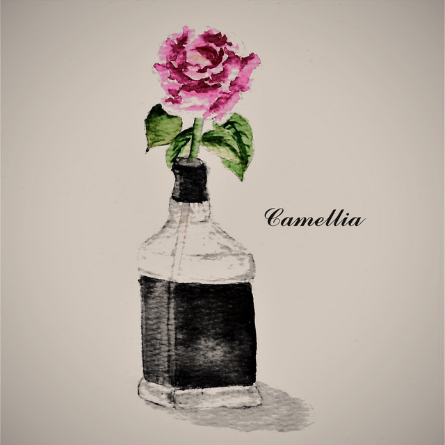 Camellia cover art